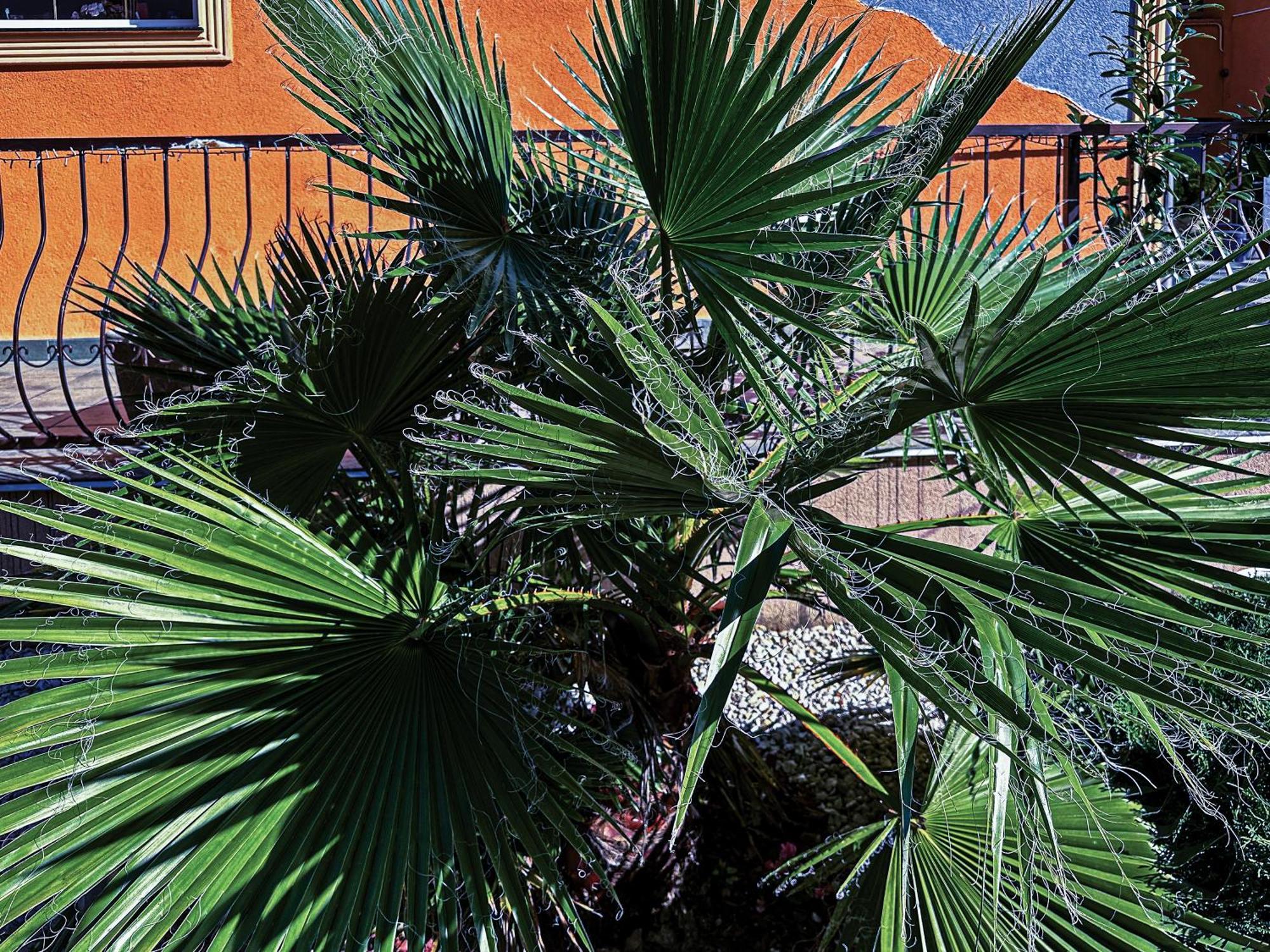 Vintiamo Apartmanok Egerszalók Exterior foto