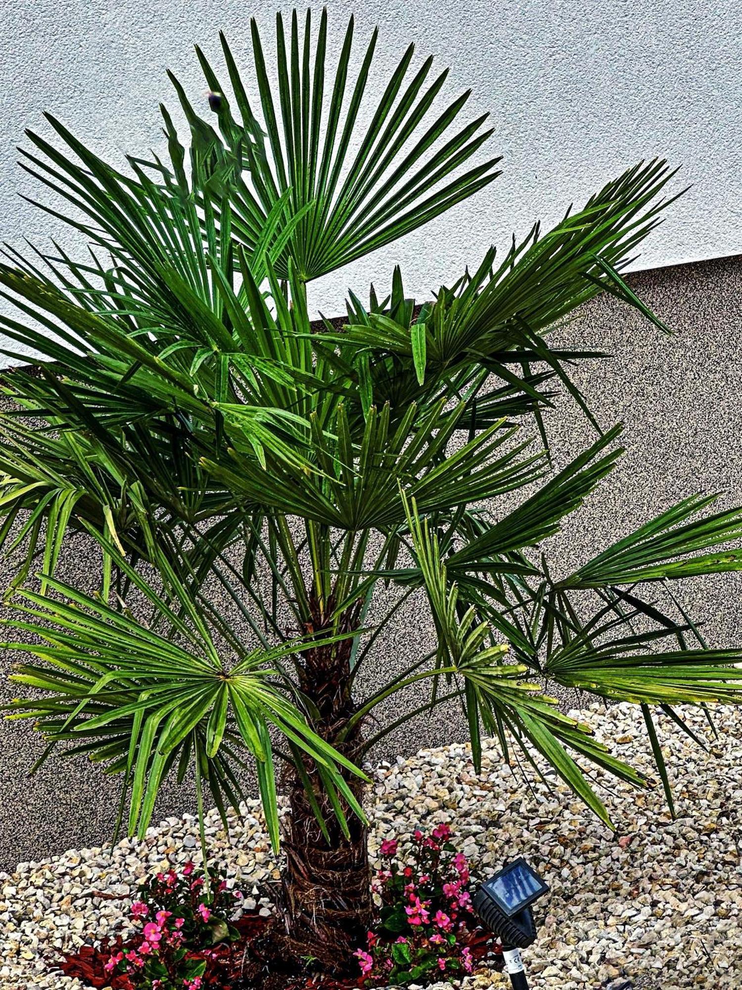 Vintiamo Apartmanok Egerszalók Exterior foto